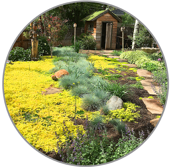 Native & Eco-Friendly